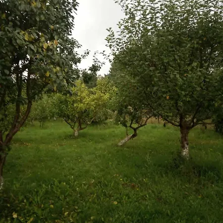 Prázdninový dům Renatka *